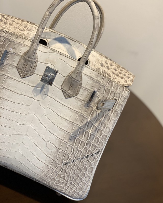 Hermes專櫃經典款鱷魚皮包 愛馬仕birkin25喜馬拉雅尼羅三張皮銀扣全手工 ttd1513